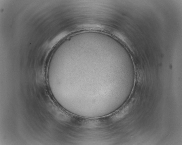 X0000062871074200601131435