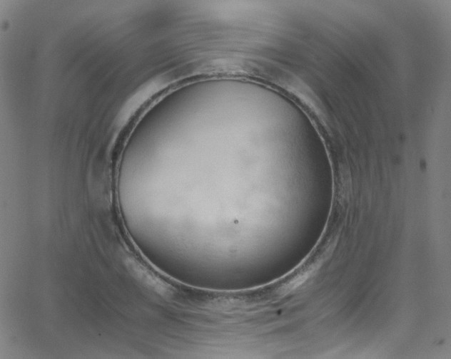 X0000062871075200601131435