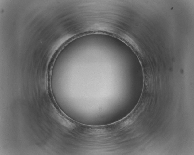 X0000062871076200601131435