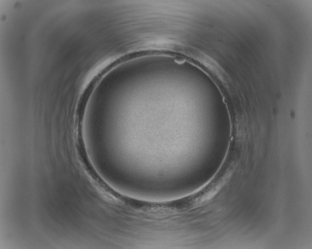 X0000062871077200601131435