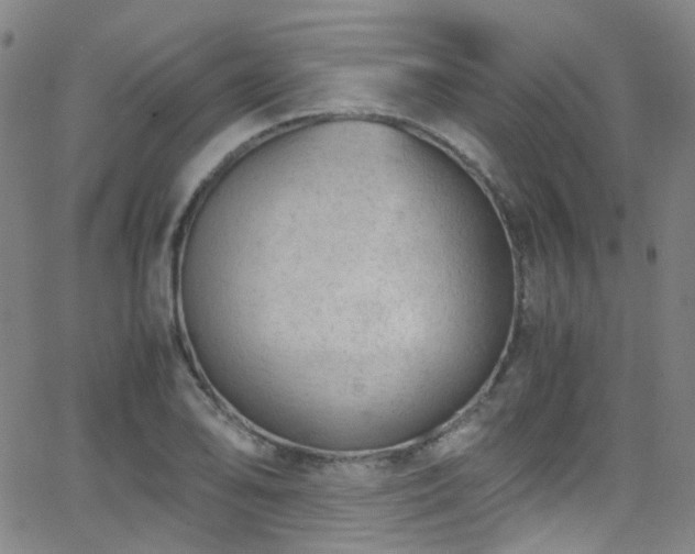 X0000062871078200601131435