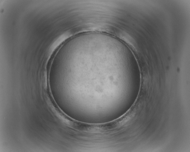 X0000062871079200601131435