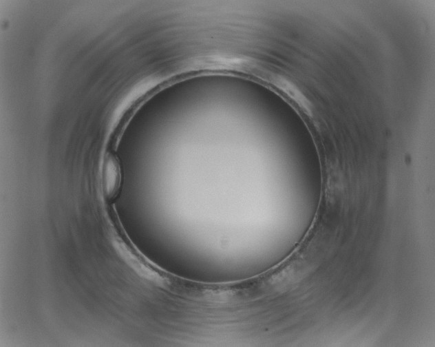 X0000062871080200601131435