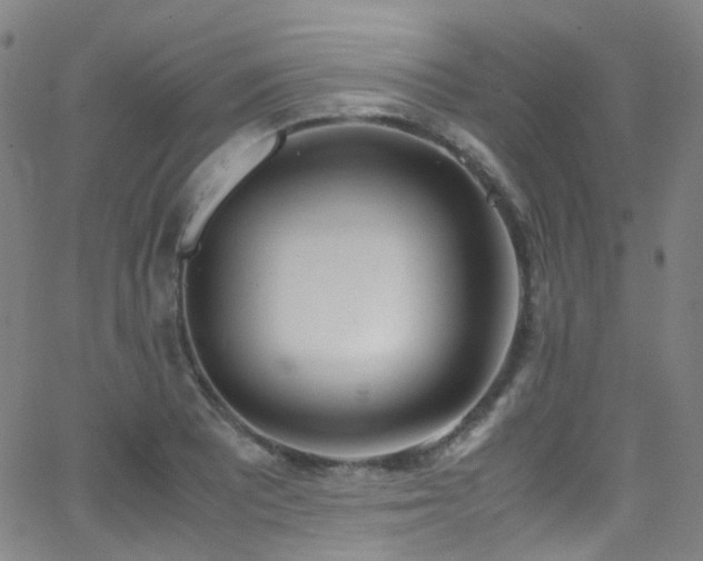 X0000062871081200601131435