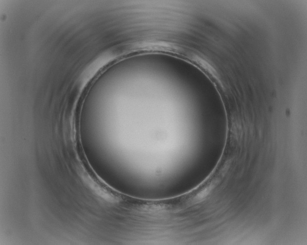 X0000062871082200601131435