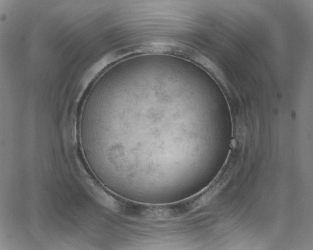 X0000062871083200601131435