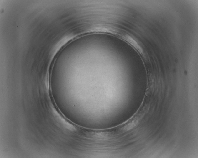 X0000062871084200601131435