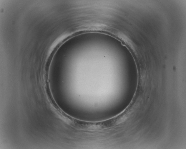 X0000062871085200601131435