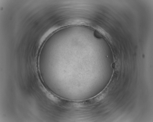 X0000062871086200601131435