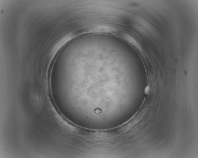 X0000062871087200601131435