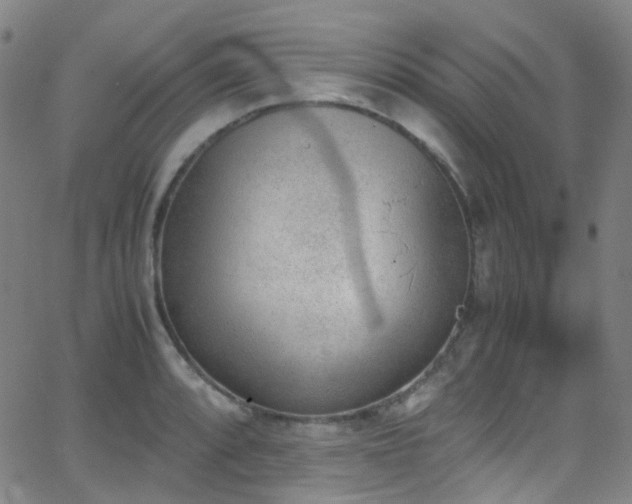 X0000062871088200601131435