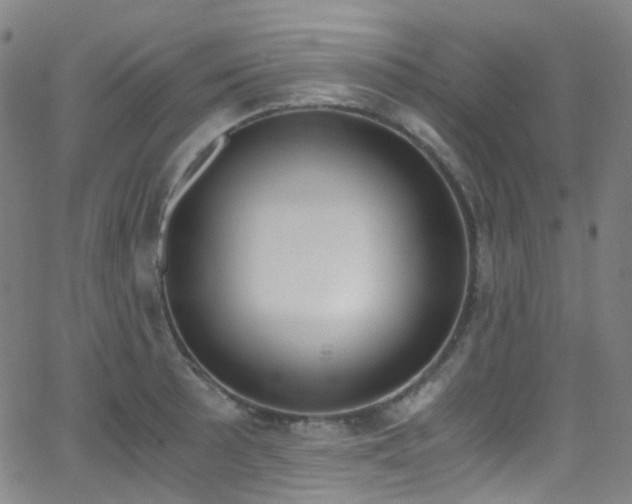 X0000062871089200601131435