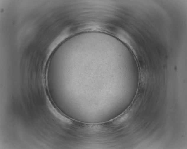 X0000062871090200601131435