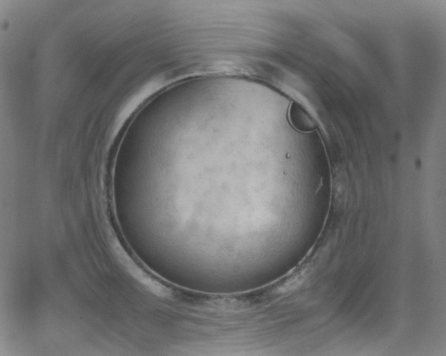 X0000062871091200601131435