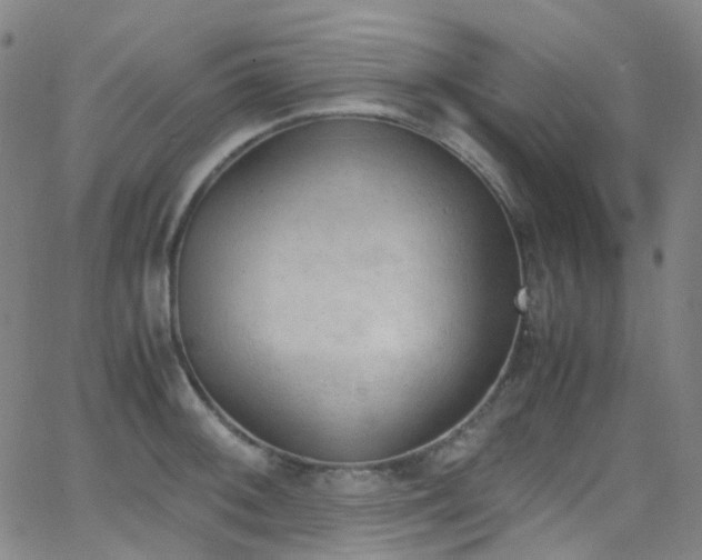 X0000062871092200601131435