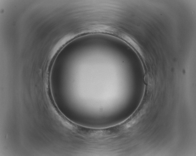 X0000062871093200601131435