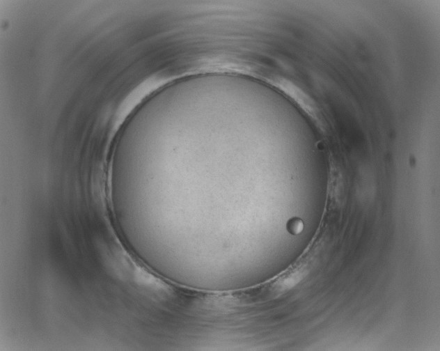 X0000062871094200601131435