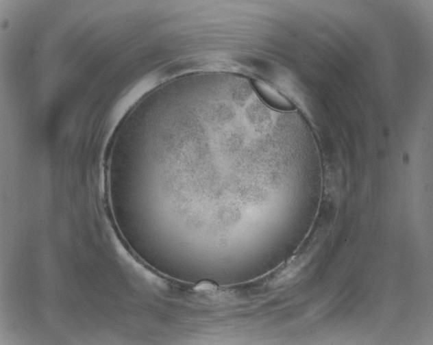 X0000062871095200601131435