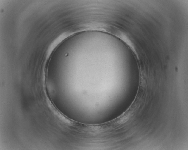 X0000062871096200601131435