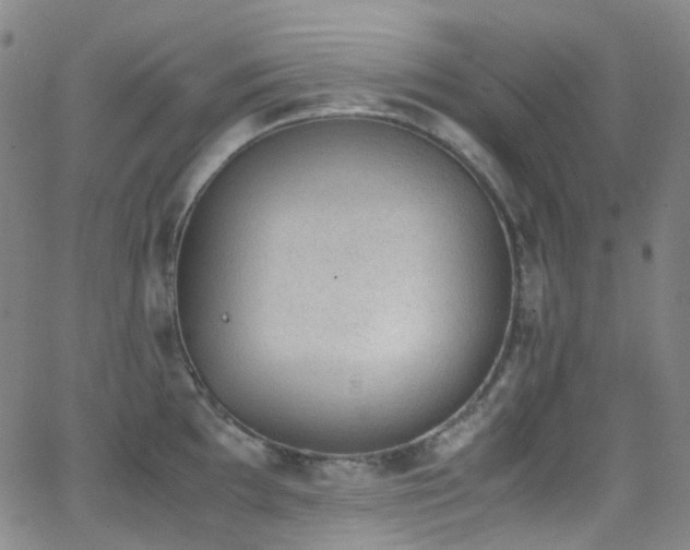 X0000062871097200601131435