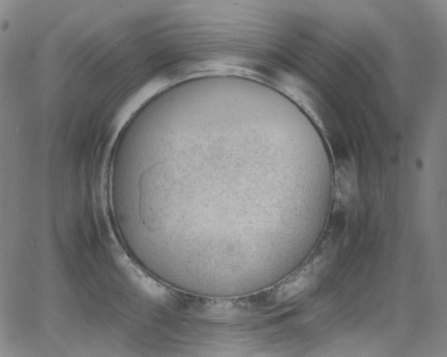 X0000062871098200601131435