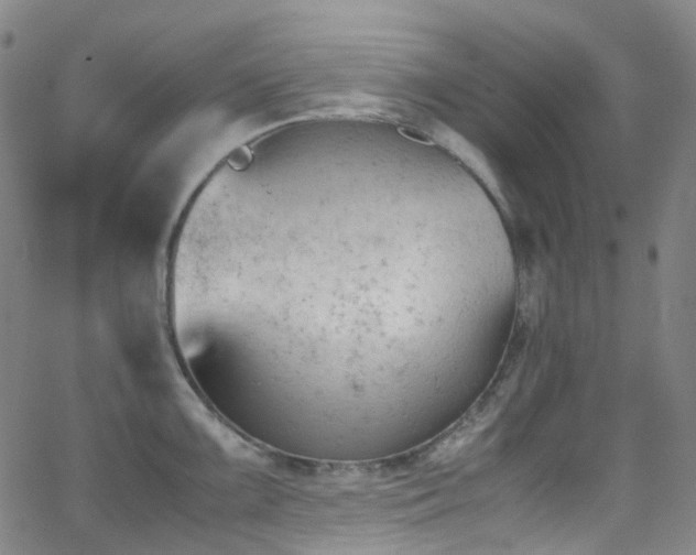 X0000062871099200601131435