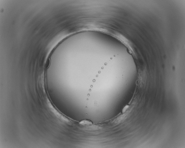 X0000062871100200601131435