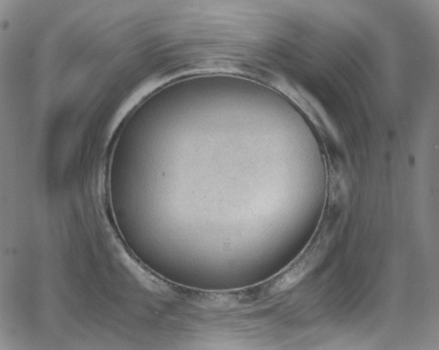 X0000062871101200601131435