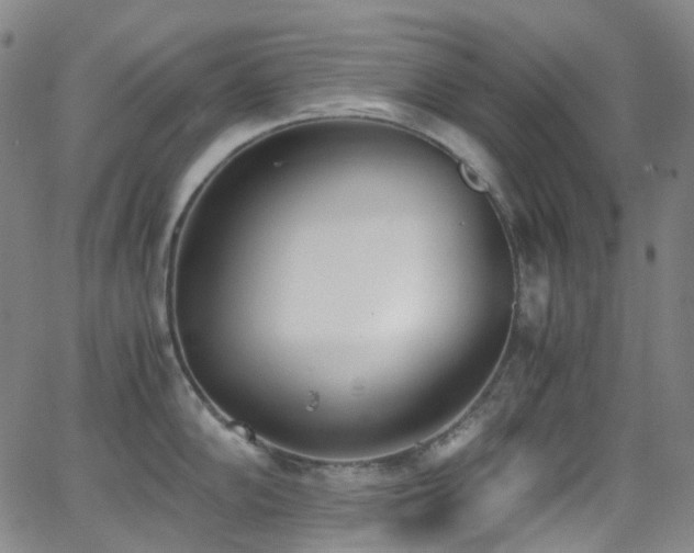 X0000062871102200601131435