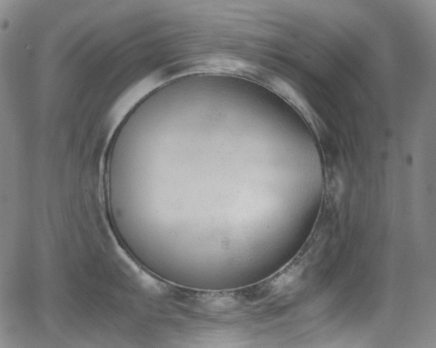 X0000062871103200601131435