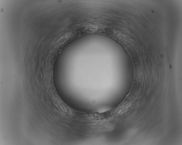 X0000062871105200601131434