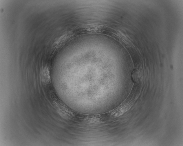 X0000062871106200601131434