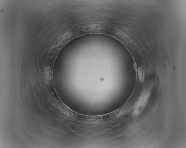 X0000062871107200601131434