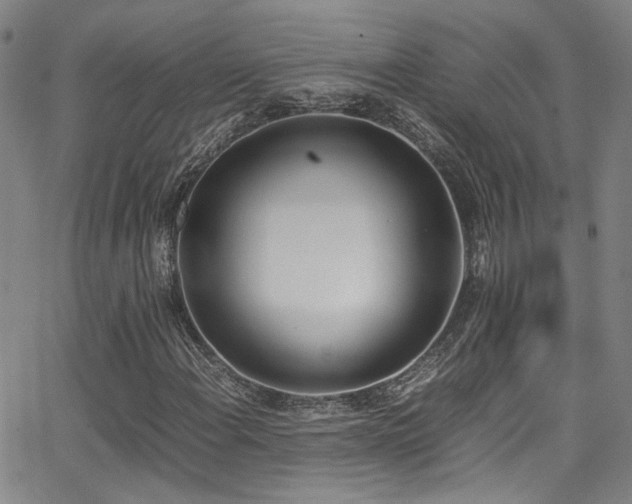 X0000062871108200601131434