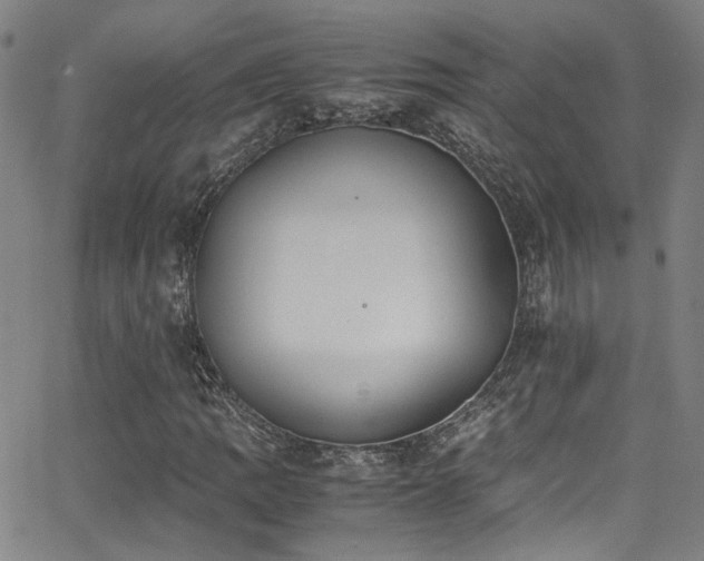 X0000062871109200601131434