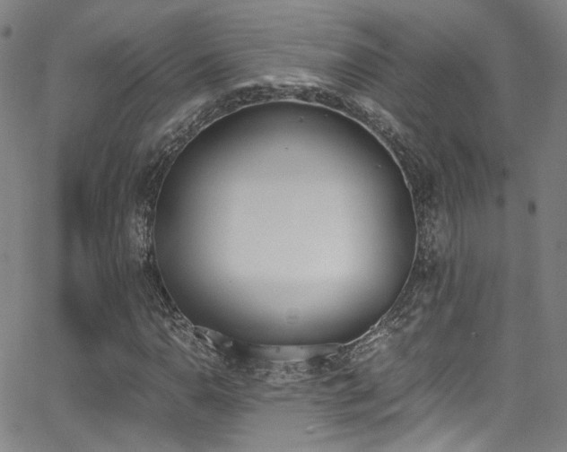 X0000062871110200601131434