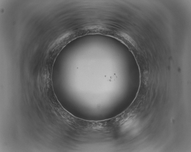 X0000062871111200601131434