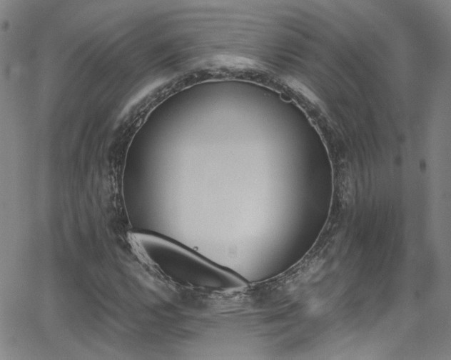 X0000062871112200601131434