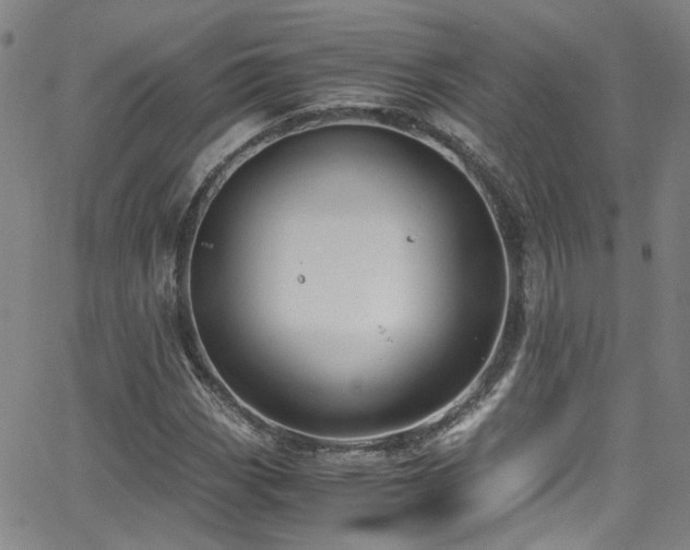 X0000062871113200601131434