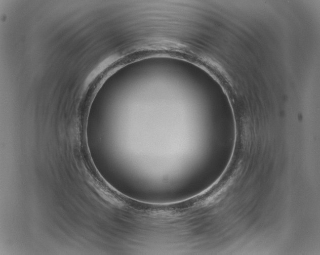 X0000062871114200601131434