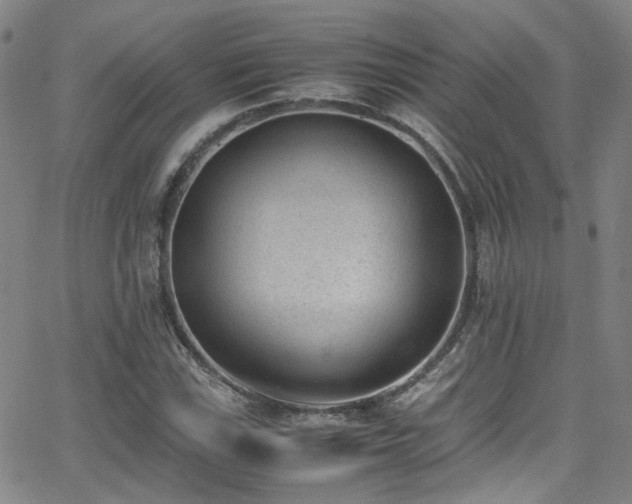 X0000062871115200601131434