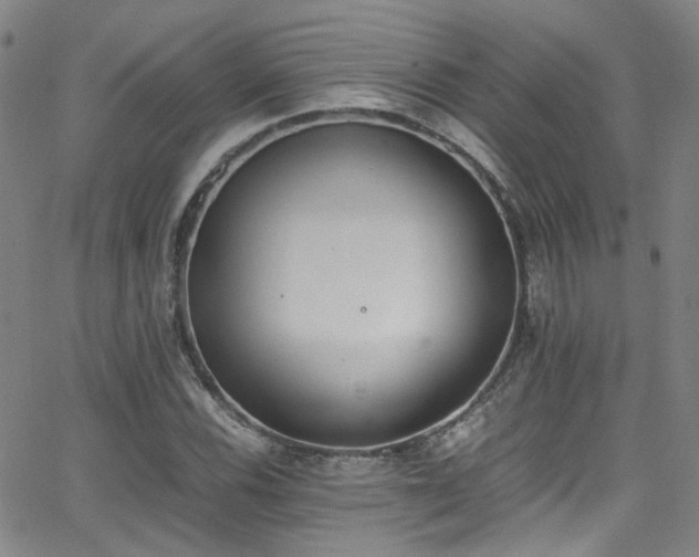 X0000062871116200601131434