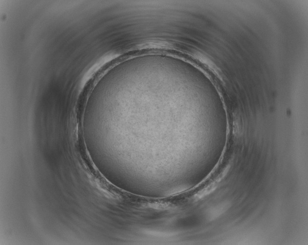 X0000062871117200601131434