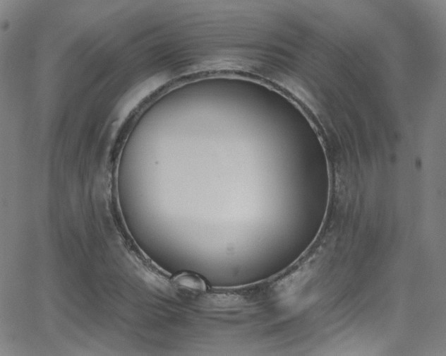 X0000062871119200601131434