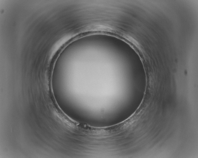 X0000062871120200601131434