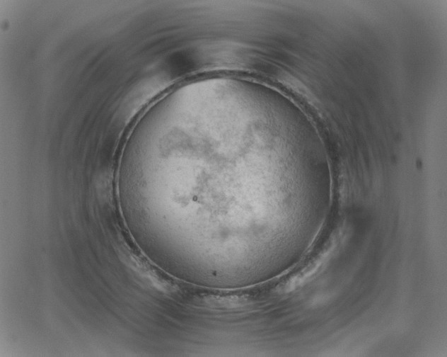 X0000062871121200601131434