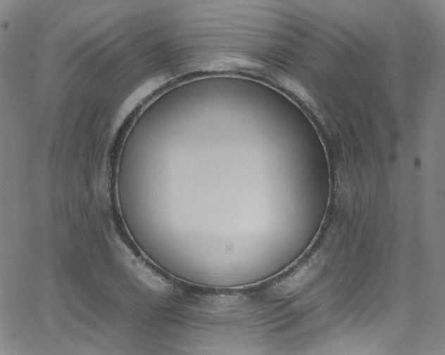 X0000062871122200601131434