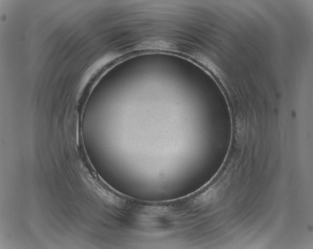 X0000062871123200601131434