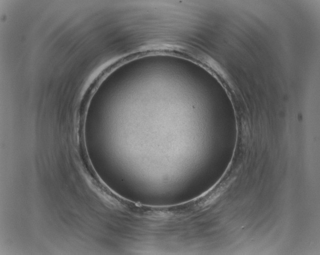 X0000062871124200601131434