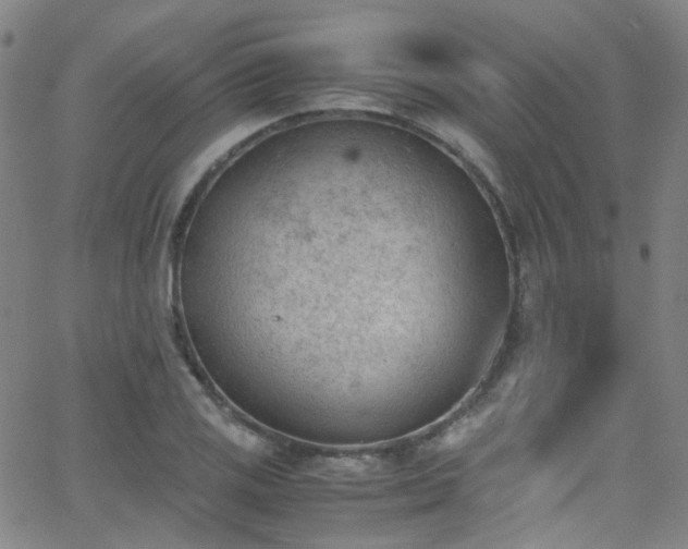 X0000062871125200601131434